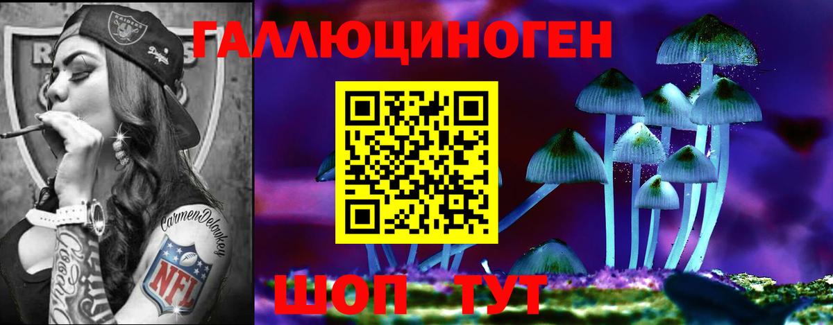 Галлюциногенные грибы мицелий  Вход с VPN  Анжеро-Судженск 