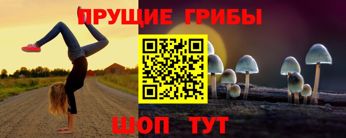 Псилоцибиновые грибы Psilocybine cubensis Анжеро-Судженск