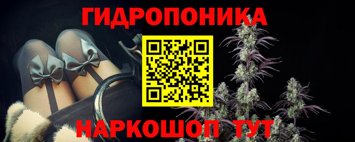 Анжеро-Судженск  Шишки марихуана планчик  Каннабис гибрид  Каннабис VHQ  Вход с VPN  Бошки марихуана OG Kush 